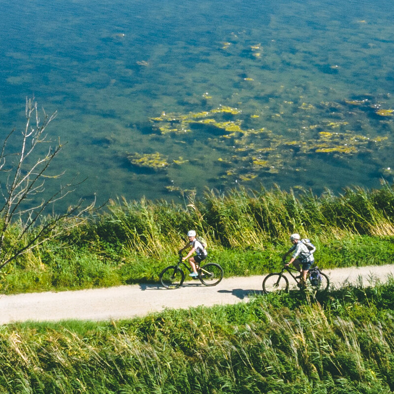 Szlak rowerowy nad Szprewą Krajobraz górnołużyckich wrzosowisk i stawów