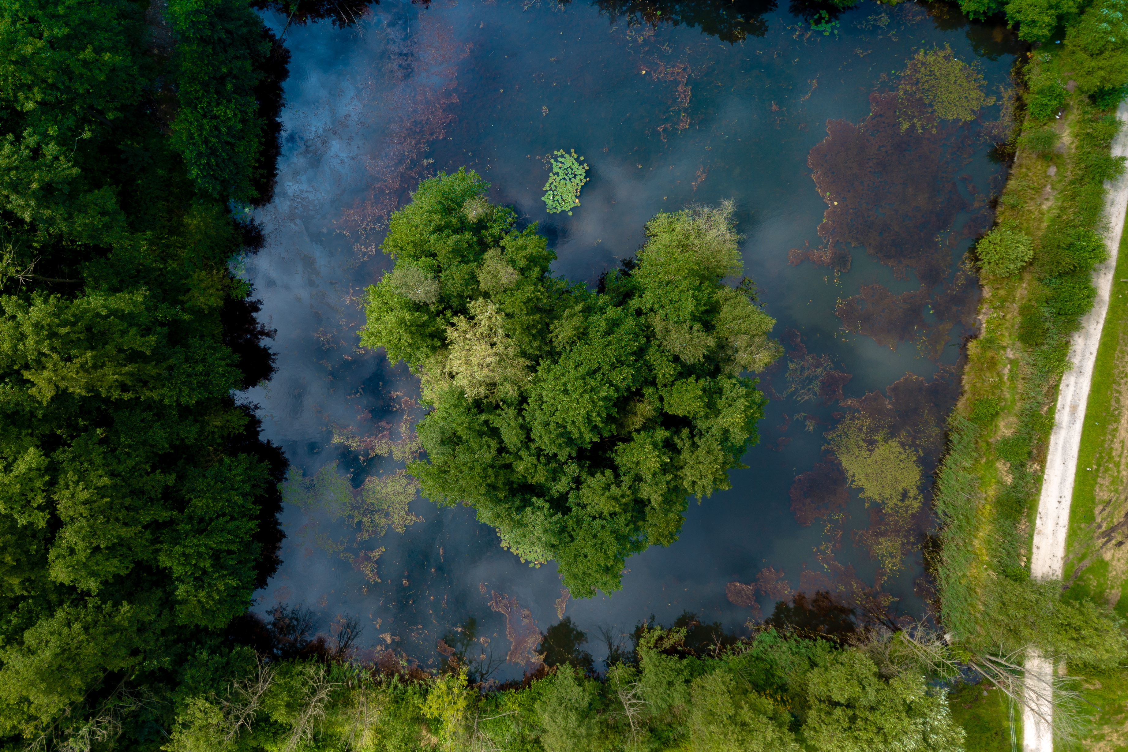 Letecký pohled na biosférickou rezervaci UNESCO Hornolužické vřesoviště a rybníky @ Torsten Kellermann