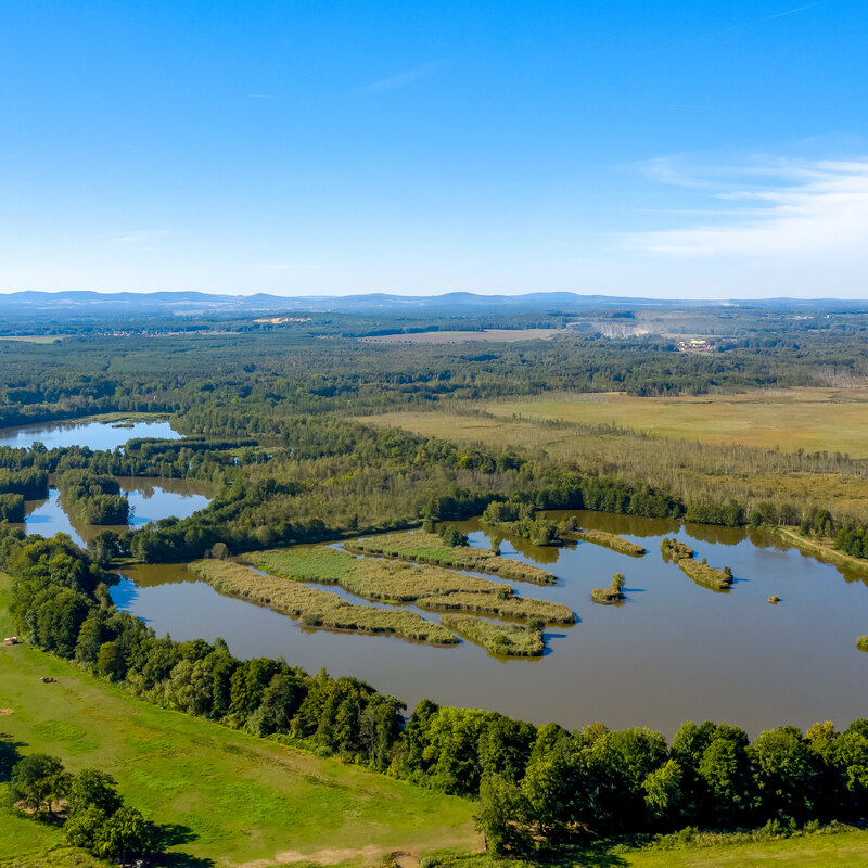 Upper Lusatian heath and pond landscape from above