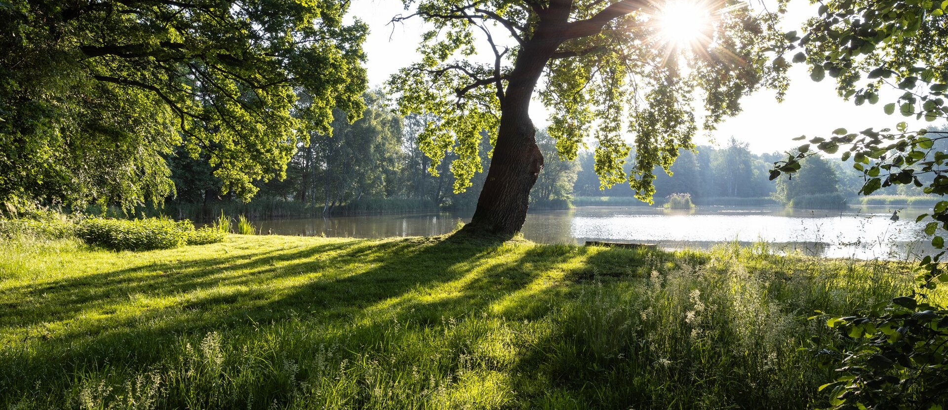 Teichwirt des Jahres 2026