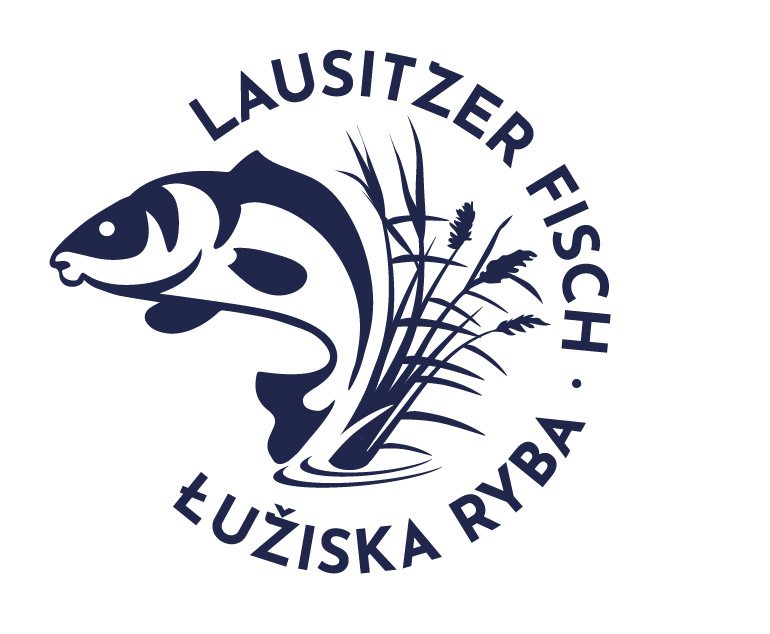 Ryba łużycka